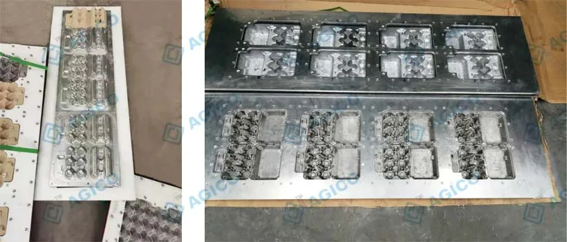 egg carton mold egg carton mold