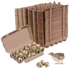 Quail Egg Cartons